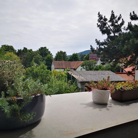 Spacy Apartment Next To The Center Of Graz With Terrasse المظهر الخارجي الصورة