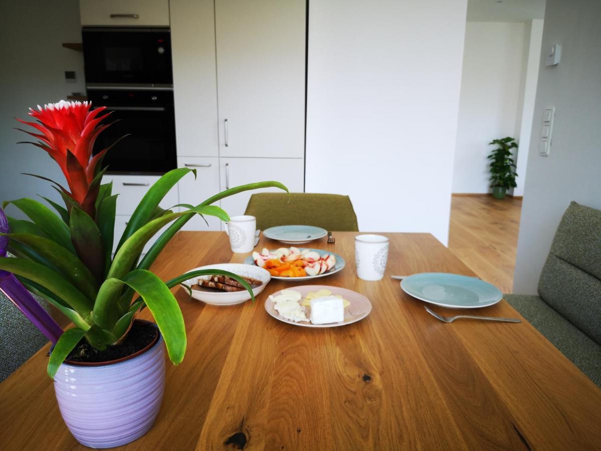 Spacy Apartment Next To The Center Of Graz With Terrasse المظهر الخارجي الصورة