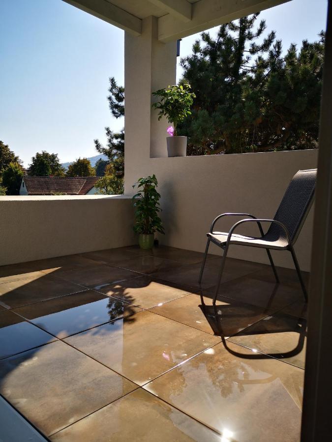 Spacy Apartment Next To The Center Of Graz With Terrasse المظهر الخارجي الصورة